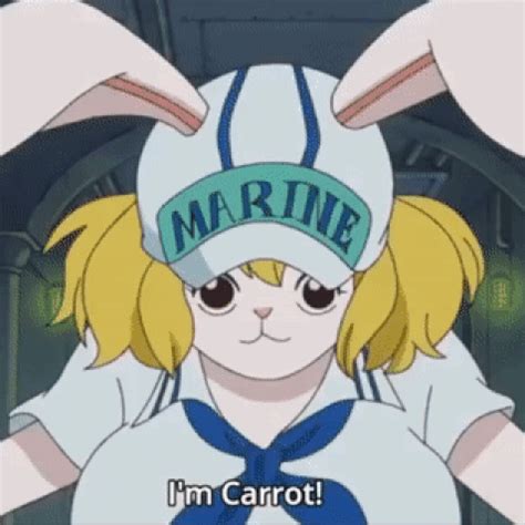 one piece carrot sex|carrot (one piece)